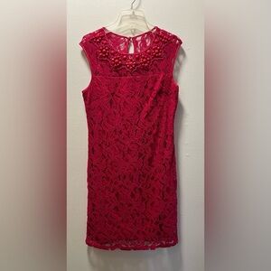 Adrianna Papell Chic Sleeveless Beaded Lacey Statement Dress, Sz 6P, Fuchsia